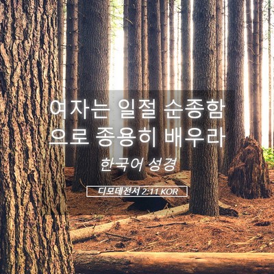 Picture 05 - 디모데전서 2:11 KOR - 여자는 일절 순종함으로 종용히 - Bible Verse Picture