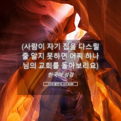 Picture 05 - 디모데전서 3:5 KOR - (사람이 자기 집을 다스릴줄 알지 - Bible Verse Picture