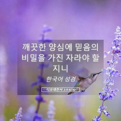 Picture 05 - 디모데전서 3:9 KOR - 깨끗한 양심에 믿음의 비밀을 가진 - Bible Verse Picture
