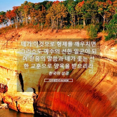 Picture 05 - 디모데전서 4:6 KOR - 네가 이것으로 형제를 깨우치면 - Bible Verse Picture