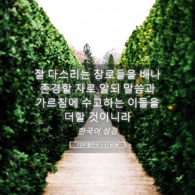 Picture 05 - 디모데전서 5:17 KOR - 잘 다스리는 장로들을 배나 존경할 - Bible Verse Picture