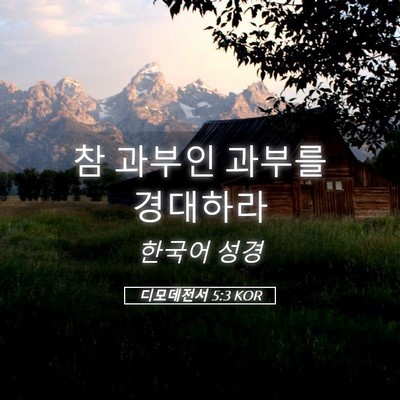 Picture 05 - 디모데전서 5:3 KOR - 참 과부인 과부를 - Bible Verse Picture