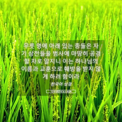 Picture 05 - 디모데전서 6:1 KOR - 무릇 멍에 아래 있는 종들은 자기 - Bible Verse Picture
