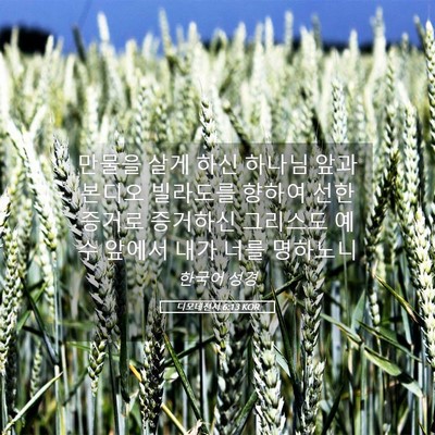 Picture 05 - 디모데전서 6:13 KOR - 만물을 살게 하신 하나님 앞과 - Bible Verse Picture
