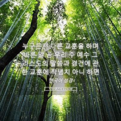 Picture 05 - 디모데전서 6:3 KOR - 누구든지 다른 교훈을 하며 바른 말 - Bible Verse Picture