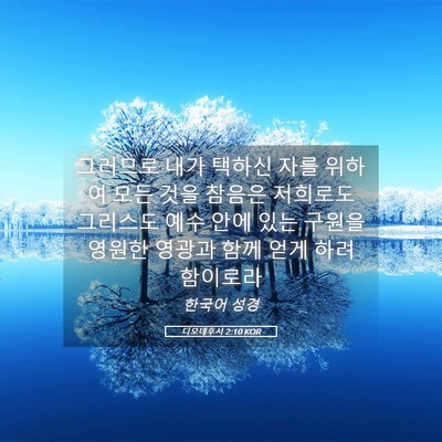 Picture 05 - 디모데후서 2:10 KOR - 그러므로 내가 택하신 자를 위하여 - Bible Verse Picture