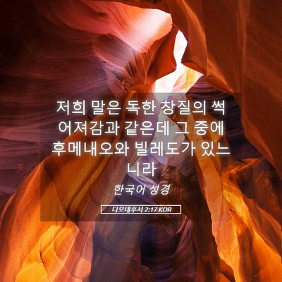 Picture 05 - 디모데후서 2:17 KOR - 저희 말은 독한 창질의 썩어져감과 - Bible Verse Picture