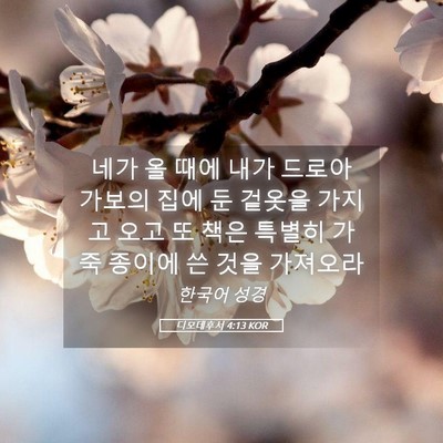 Picture 05 - 디모데후서 4:13 KOR - 네가 올 때에 내가 드로아 가보의 - Bible Verse Picture