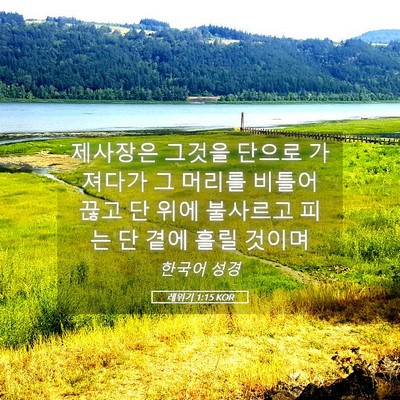 Picture 05 - 레위기 1:15 KOR - 제사장은 그것을 단으로 가져다가 그 - Bible Verse Picture