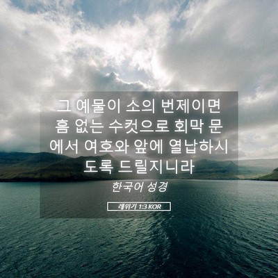 Picture 05 - 레위기 1:3 KOR - 그 예물이 소의 번제이면 흠 없는 - Bible Verse Picture