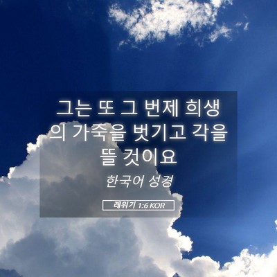 Picture 05 - 레위기 1:6 KOR - 그는 또 그 번제 희생의 가죽을 - Bible Verse Picture