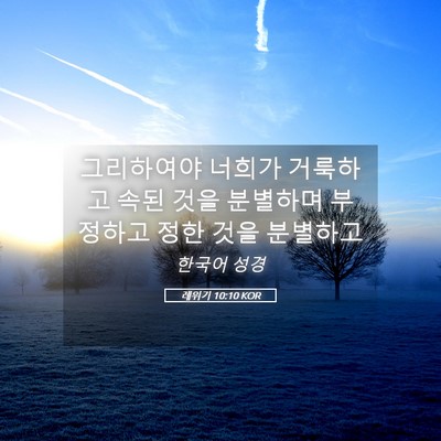 Picture 05 - 레위기 10:10 KOR - 그리하여야 너희가 거룩하고 속된 - Bible Verse Picture