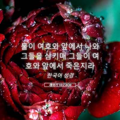 Picture 05 - 레위기 10:2 KOR - 불이 여호와 앞에서 나와 그들을 - Bible Verse Picture