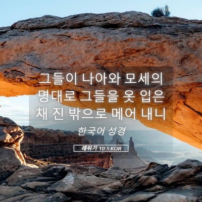 Picture 05 - 레위기 10:5 KOR - 그들이 나아와 모세의 명대로 그들을 - Bible Verse Picture