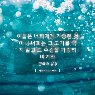 Picture 05 - 레위기 11:11 KOR - 이들은 너희에게 가증한 것이니 - Bible Verse Picture