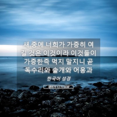 Picture 05 - 레위기 11:13 KOR - 새 중에 너희가 가증히 여길 것은 - Bible Verse Picture