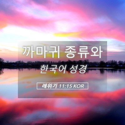 Picture 05 - 레위기 11:15 KOR - 까마귀 - Bible Verse Picture