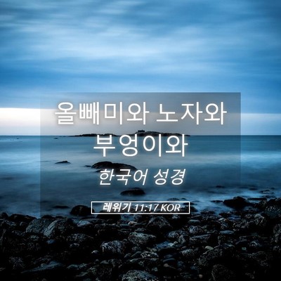 Picture 05 - 레위기 11:17 KOR - 올빼미와 노자와 - Bible Verse Picture