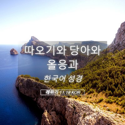 Picture 05 - 레위기 11:18 KOR - 따오기와 당아와 - Bible Verse Picture