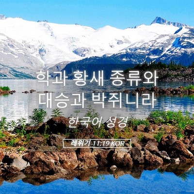 Picture 05 - 레위기 11:19 KOR - 학과 황새 종류와 대승과 - Bible Verse Picture
