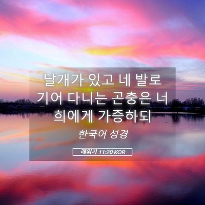Picture 05 - 레위기 11:20 KOR - 날개가 있고 네 발로 기어 다니는 - Bible Verse Picture