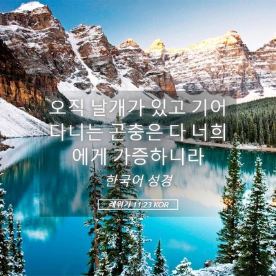 Picture 05 - 레위기 11:23 KOR - 오직 날개가 있고 기어다니는 곤충은 - Bible Verse Picture