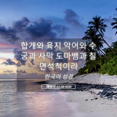Picture 05 - 레위기 11:30 KOR - 합개와 육지 악어와 수궁과 사막 - Bible Verse Picture