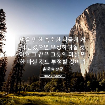 Picture 05 - 레위기 11:34 KOR - 먹을 만한 축축한 식물이 거기 - Bible Verse Picture