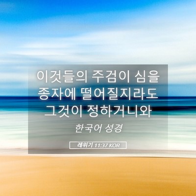 Picture 05 - 레위기 11:37 KOR - 이것들의 주검이 심을 종자에 - Bible Verse Picture