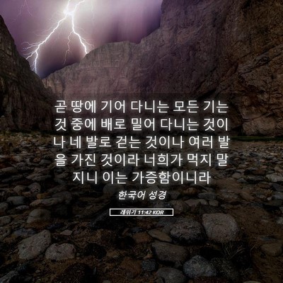 Picture 05 - 레위기 11:42 KOR - 곧 땅에 기어 다니는 모든 기는 것 - Bible Verse Picture