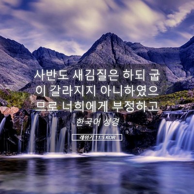 Picture 05 - 레위기 11:5 KOR - 사반도 새김질은 하되 굽이 갈라지지 - Bible Verse Picture