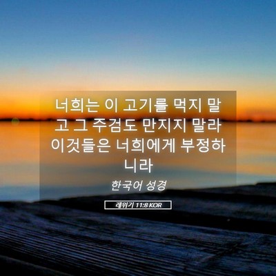 Picture 05 - 레위기 11:8 KOR - 너희는 이 고기를 먹지 말고 그 - Bible Verse Picture