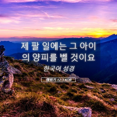 Picture 05 - 레위기 12:3 KOR - 제 팔 일에는 그 아이의 양피를 벨 - Bible Verse Picture