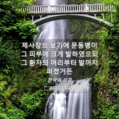 Picture 05 - 레위기 13:12 KOR - 제사장의 보기에 문둥병이 그 피부에 - Bible Verse Picture