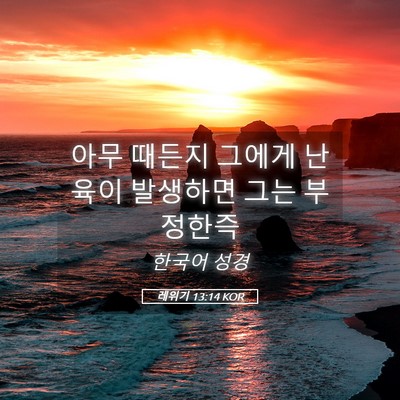 Picture 05 - 레위기 13:14 KOR - 아무 때든지 그에게 난육이 발생하면 - Bible Verse Picture