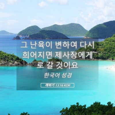 Picture 05 - 레위기 13:16 KOR - 그 난육이 변하여 다시 희어지면 - Bible Verse Picture