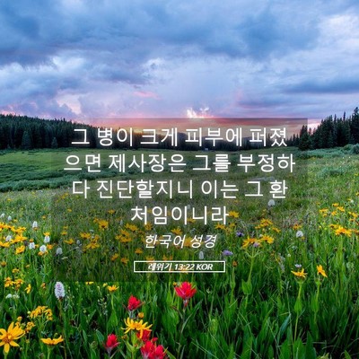 Picture 05 - 레위기 13:22 KOR - 그 병이 크게 피부에 퍼졌으면 - Bible Verse Picture