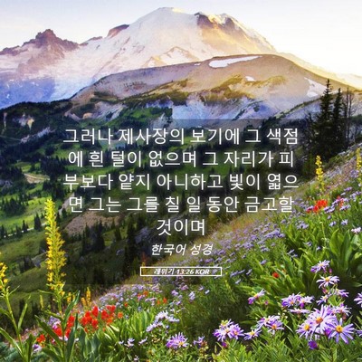 Picture 05 - 레위기 13:26 KOR - 그러나 제사장의 보기에 그 색점에 - Bible Verse Picture
