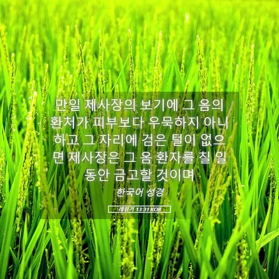 Picture 05 - 레위기 13:31 KOR - 만일 제사장의 보기에 그 옴의 - Bible Verse Picture