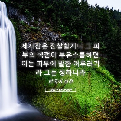 Picture 05 - 레위기 13:39 KOR - 제사장은 진찰할지니 그 피부의 - Bible Verse Picture