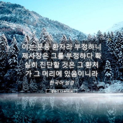 Picture 05 - 레위기 13:44 KOR - 이는 문둥 환자라 부정하니 제사장은 - Bible Verse Picture