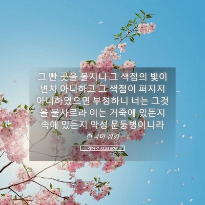 Picture 05 - 레위기 13:55 KOR - 그 빤 곳을 볼지니 그 색점의 빛이 - Bible Verse Picture