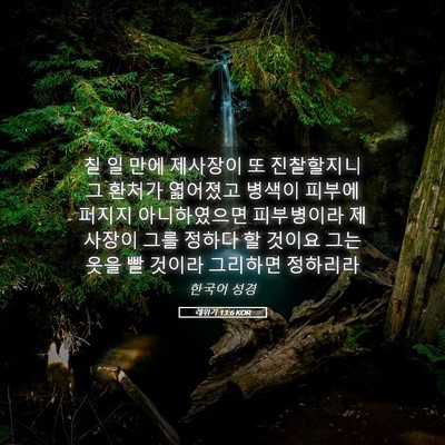 Picture 05 - 레위기 13:6 KOR - 칠 일 만에 제사장이 또 진찰할지니 - Bible Verse Picture