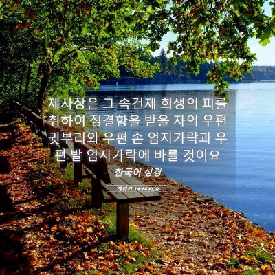Picture 05 - 레위기 14:14 KOR - 제사장은 그 속건제 희생의 피를 - Bible Verse Picture