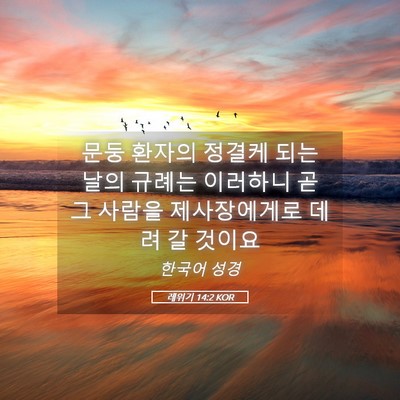 Picture 05 - 레위기 14:2 KOR - 문둥 환자의 정결케 되는 날의 - Bible Verse Picture