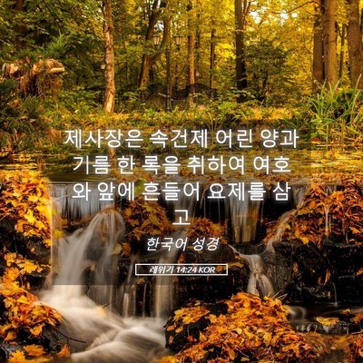 Picture 05 - 레위기 14:24 KOR - 제사장은 속건제 어린 양과 기름 한 - Bible Verse Picture