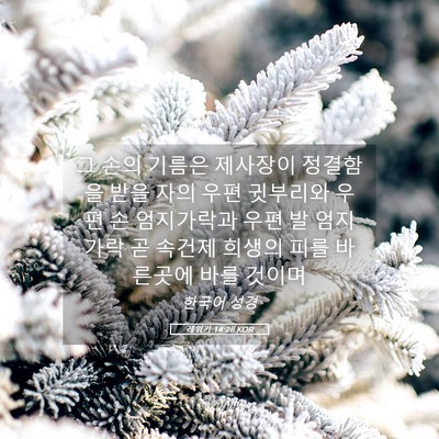 Picture 05 - 레위기 14:28 KOR - 그 손의 기름은 제사장이 정결함을 - Bible Verse Picture