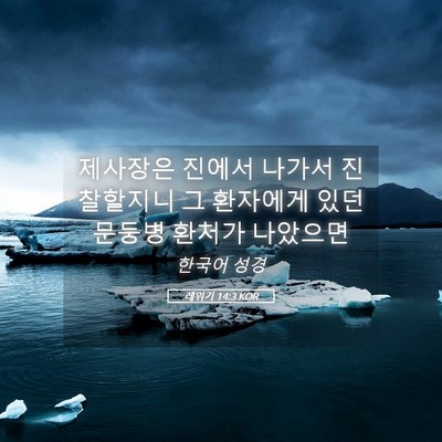 Picture 05 - 레위기 14:3 KOR - 제사장은 진에서 나가서 진찰할지니 - Bible Verse Picture
