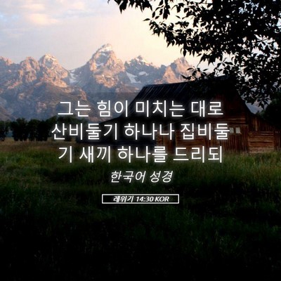 Picture 05 - 레위기 14:30 KOR - 그는 힘이 미치는 대로 산비둘기 - Bible Verse Picture