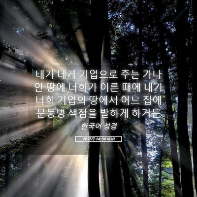 Picture 05 - 레위기 14:34 KOR - 내가 네게 기업으로 주는 가나안 - Bible Verse Picture
